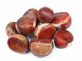 isolated chestnut