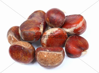 isolated chestnut