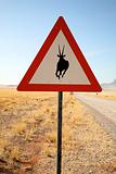 Danger Springboks Road Sign