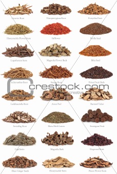 Chinese Herbal Medicine with Titles