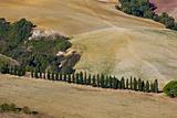 Tuscan landscape.