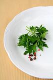 plates with  sprig of parsley - organic menu