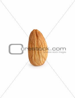 Almond On White