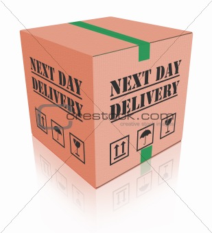 next day delivery carboard box package