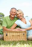 Mature couple having picnic in countryside