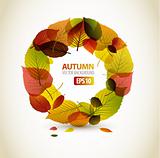 Autumn abstract floral background 
