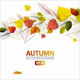 Vector Autumn abstract floral background