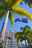 flag in tropical australia with palm trees