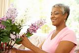 Senior Woman Flower Arranging At Home