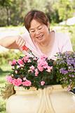 Senior Woman Gardening