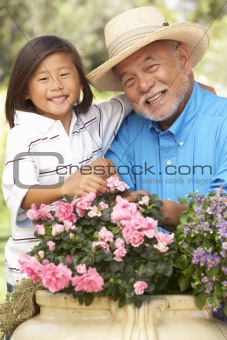 Grandfather And Grandson Gardening Together