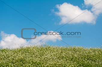 Green hill and blue sky