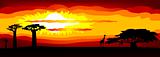 Africa sunset - vector