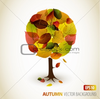 Abstract Vector autumn tree illustration