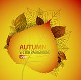 Autumn abstract floral background 