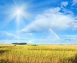 Rainbow, sunshine and summer field.