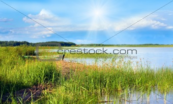 Summer rushy lake
