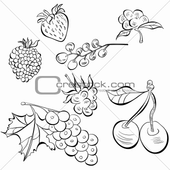 Sketch of fruit