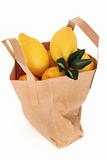 Lemons in a Bag