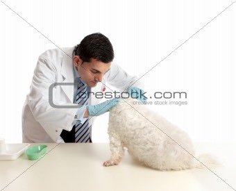 Vet with a dog