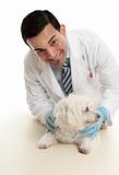 Veterinarian taking care of a pet dog