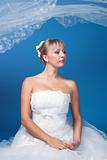 Bride on blue