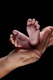 Newborn's Feet in Mother's Hand