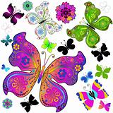 Set colorful and black butterflies 