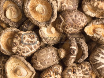dried shitake mushrooms