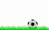 Black and white soccer ball or football on grass