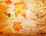 grunge abstract fall background