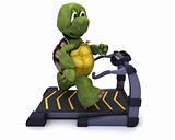 Tortoise running on a treadmill