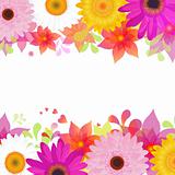 Flower Background With Gerber And Leafs