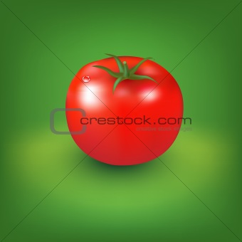 Red Tomato With Green Background