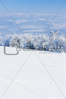 Jeseniky Mountains in winter, Czech Republic