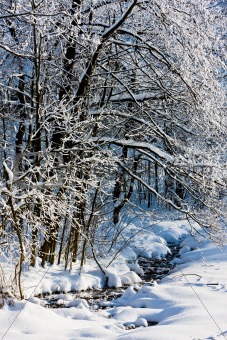 Jeseniky Mountains in winter, Czech Republic