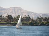 Sailing felluca on the river Nile
