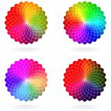 Color flower vector wheel, set