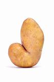 rare potato