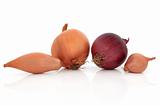 Onion Types