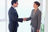 Side view of business partner shaking hands