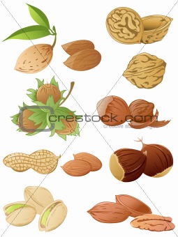 set of various nuts