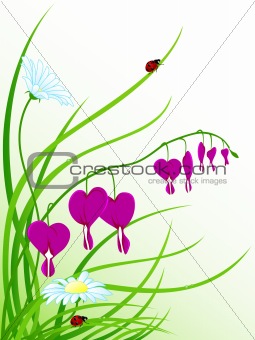 floral background with camomiles 
