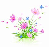 floral background with cosmos flowers