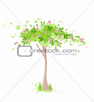 green spring tree