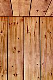 Pine wooden background