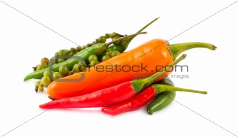 Different kinds of hot pepper