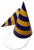 Birthday Hats(0).jpg