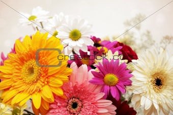 colorful flowers 