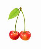 cherry fruit with green leaf isolated on white background